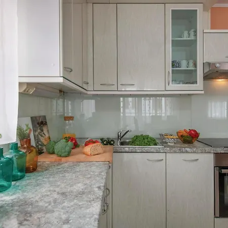 Apartment Awesome In With Kitchen *